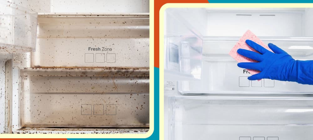 Gallery photos for Kitchen Cleaning: Image #12